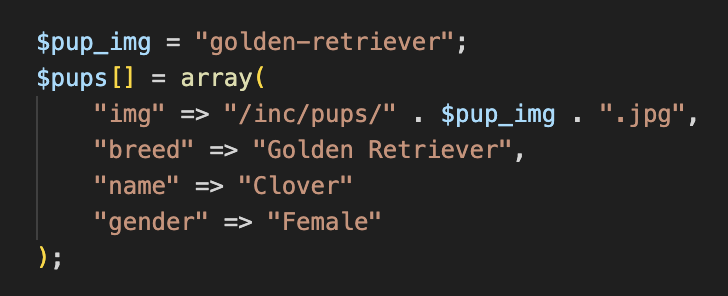 Software so simple